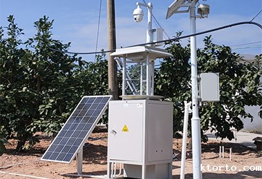 广东梅州梅州冠诚柚子基 广东梅州梅州冠诚柚子基